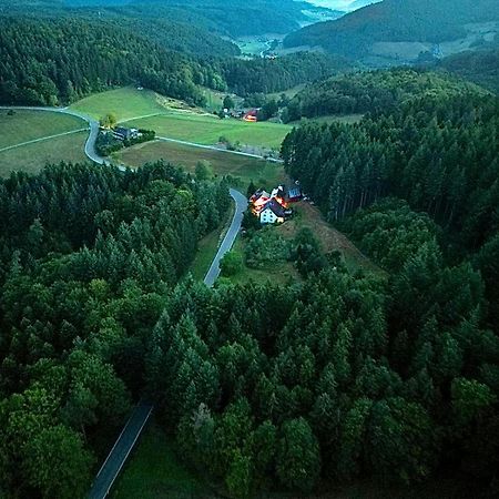 Ferien Im Schwarzwald Freiamt Hotel Ngoại thất bức ảnh