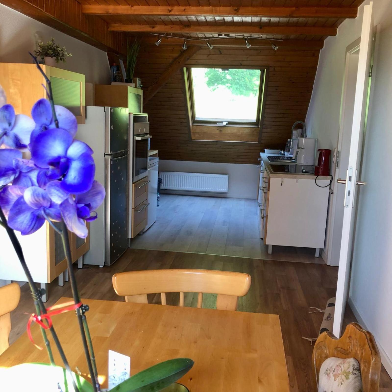 Ferien Im Schwarzwald Freiamt Hotel Ngoại thất bức ảnh