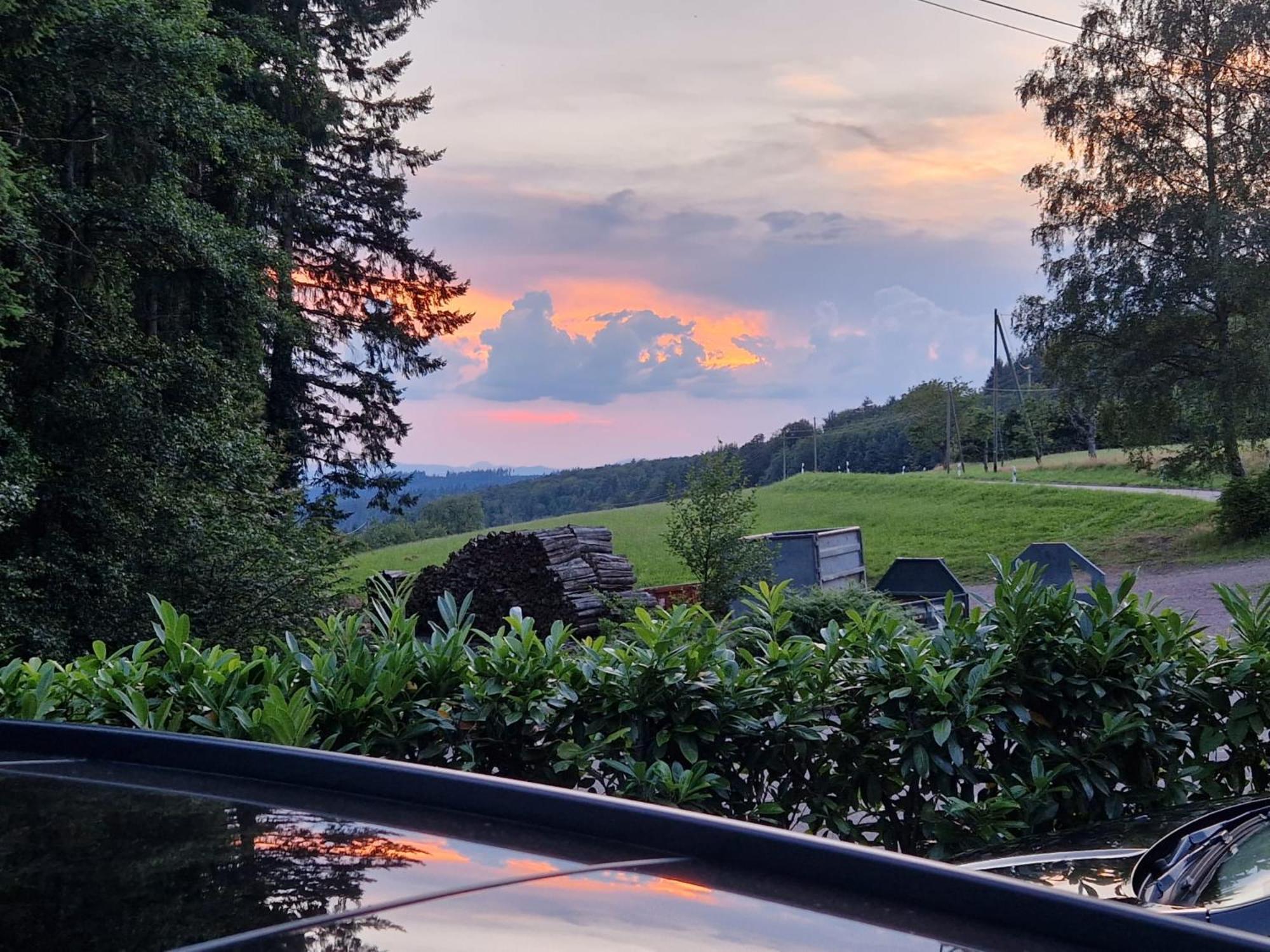 Ferien Im Schwarzwald Freiamt Hotel Ngoại thất bức ảnh