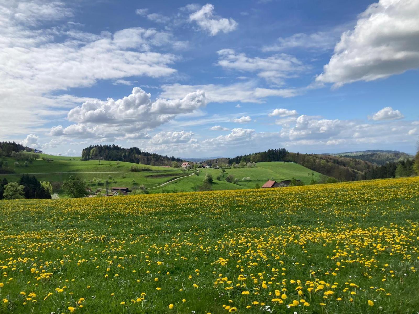 Ferien Im Schwarzwald Freiamt Hotel Ngoại thất bức ảnh