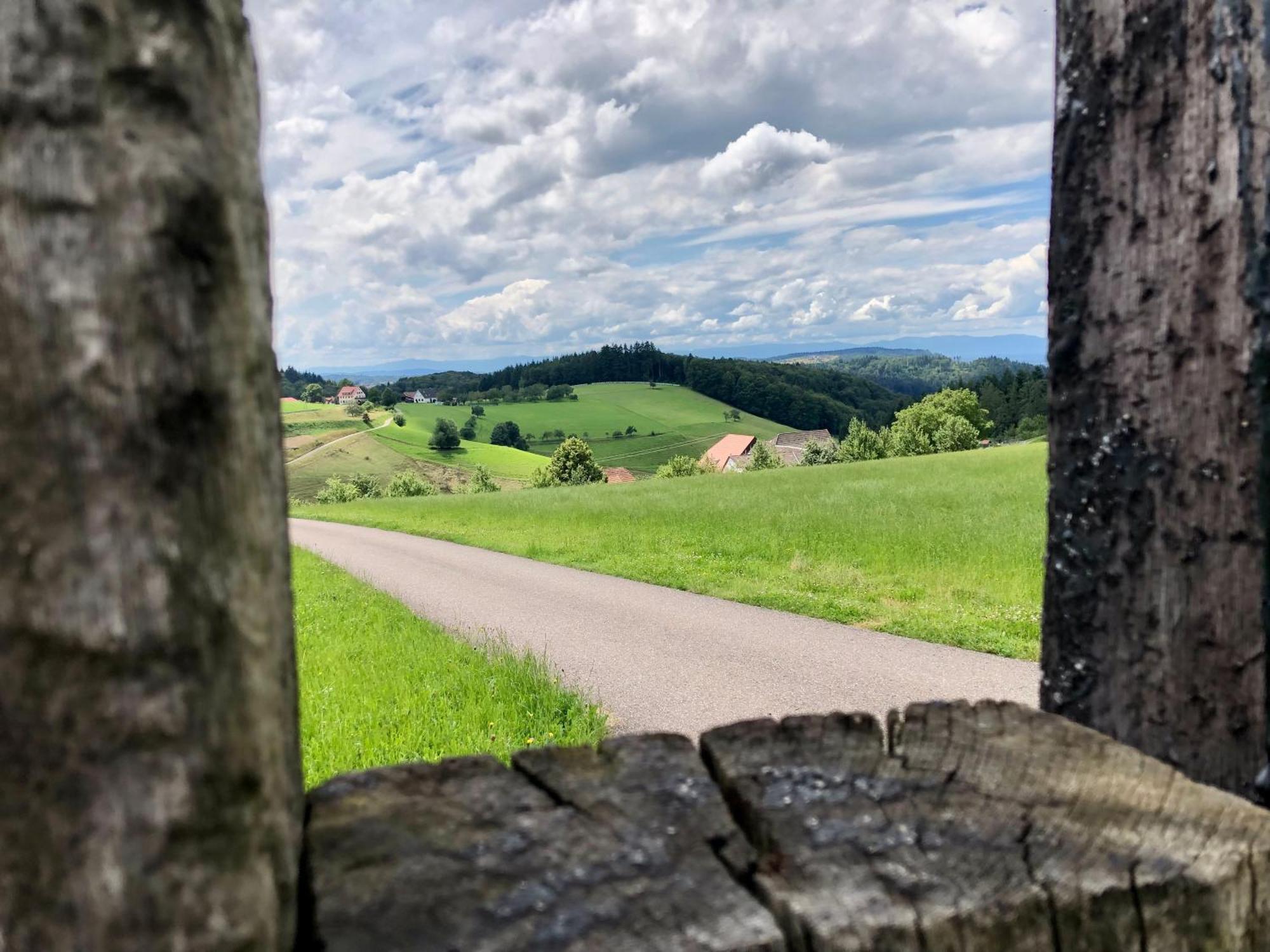 Ferien Im Schwarzwald Freiamt Hotel Ngoại thất bức ảnh