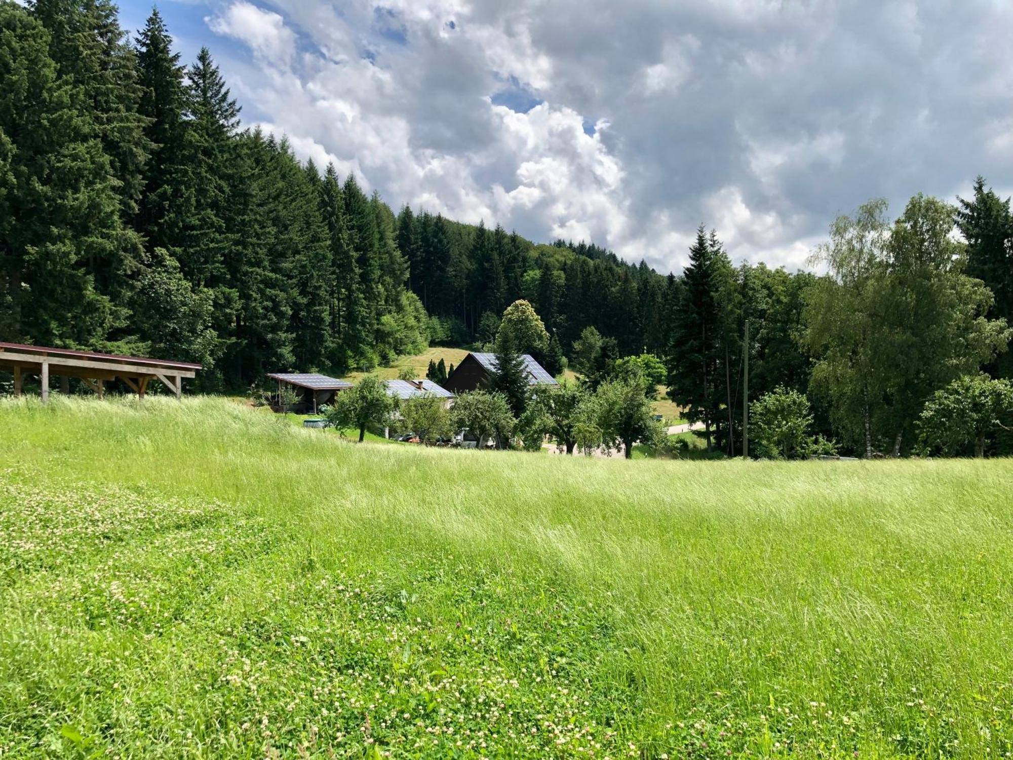 Ferien Im Schwarzwald Freiamt Hotel Ngoại thất bức ảnh