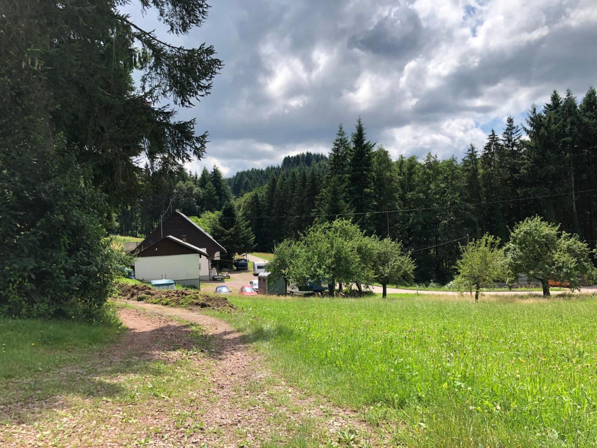 Ferien Im Schwarzwald Freiamt Hotel Ngoại thất bức ảnh