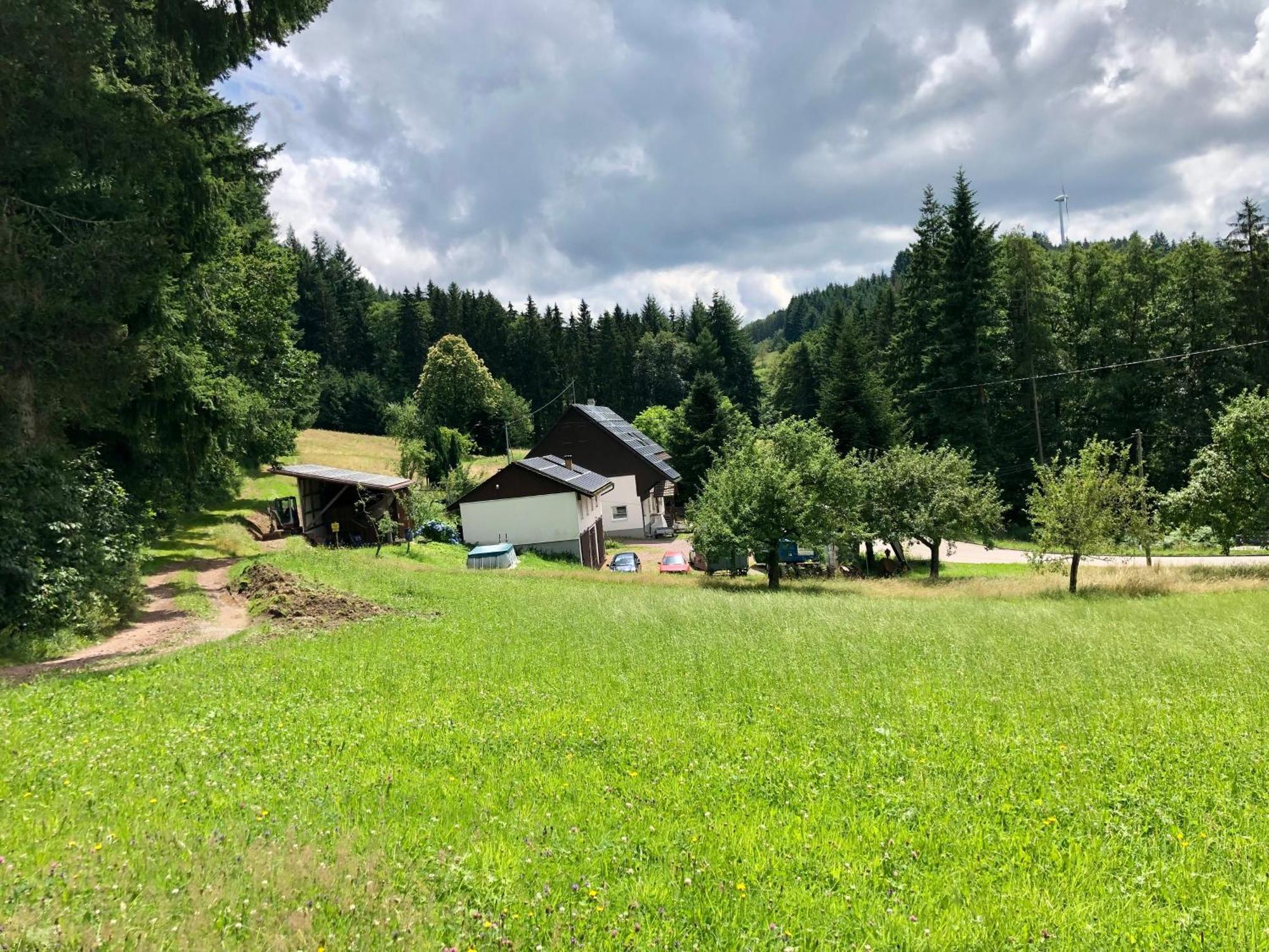 Ferien Im Schwarzwald Freiamt Hotel Ngoại thất bức ảnh