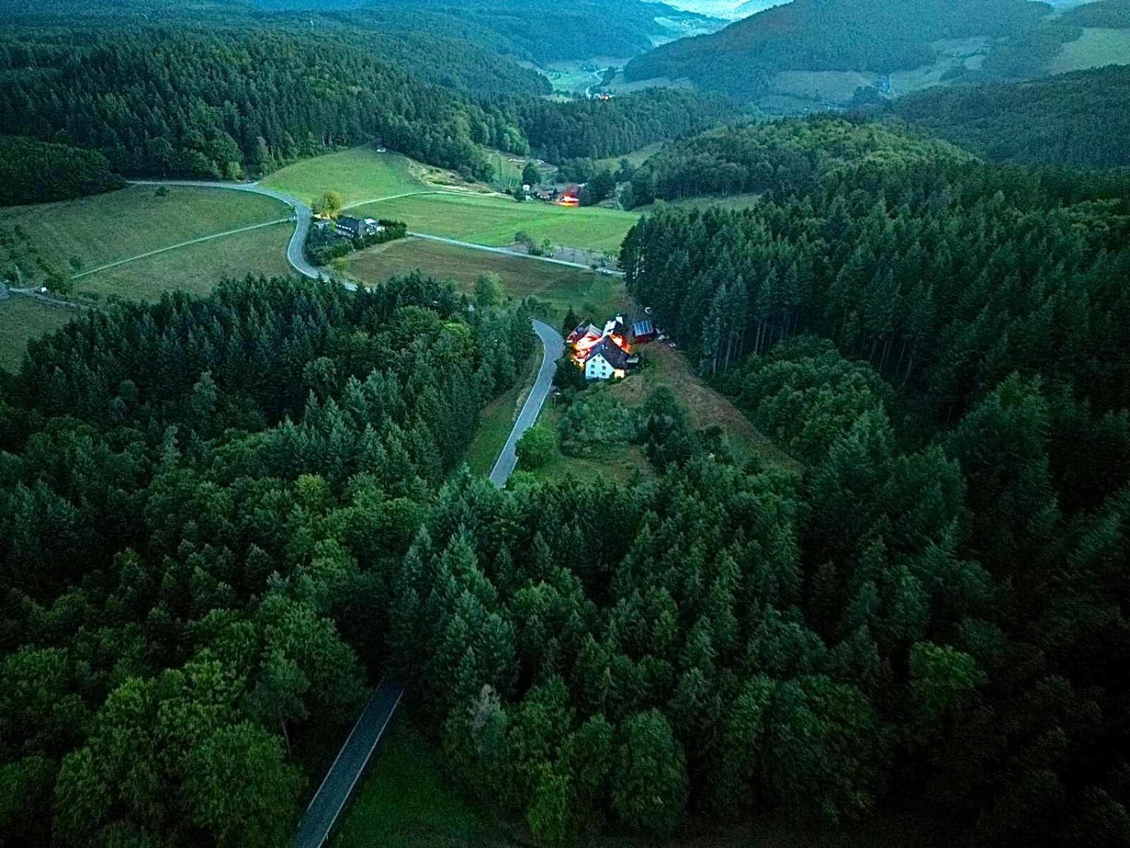 Ferien Im Schwarzwald Freiamt Hotel Ngoại thất bức ảnh