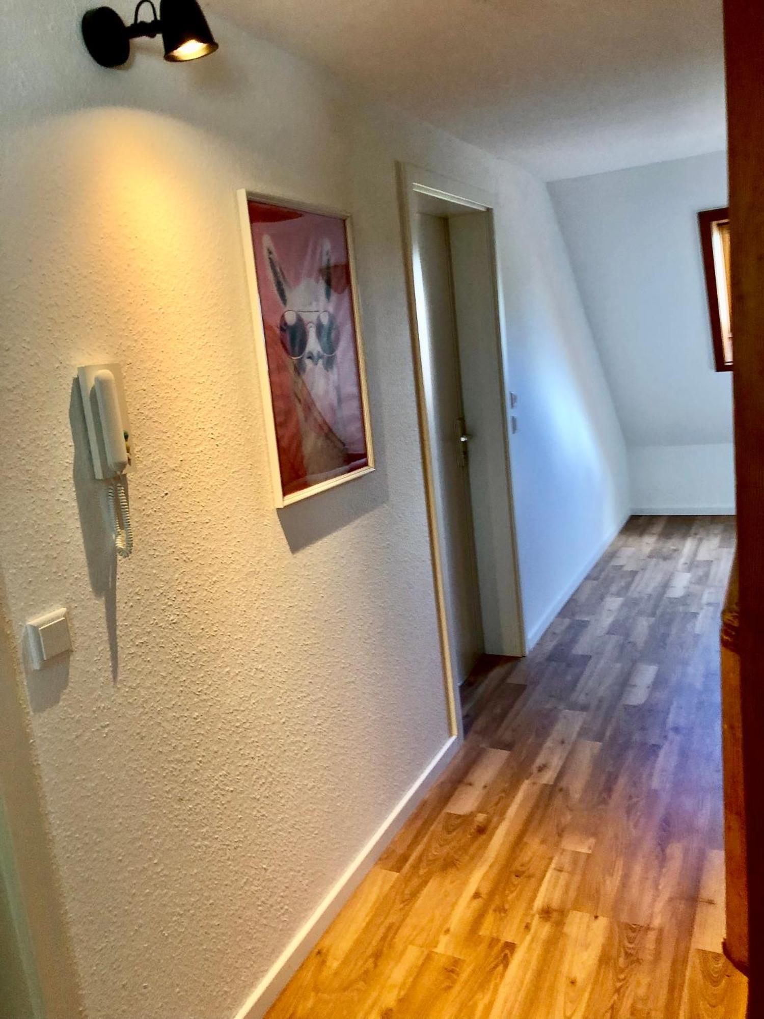 Ferien Im Schwarzwald Freiamt Hotel Ngoại thất bức ảnh